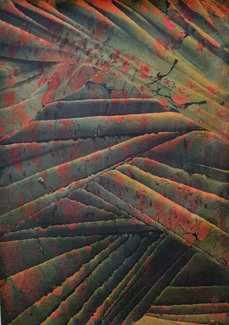 Fließende Muster auf Wasser – Einzigartige Ebru-Kunst.