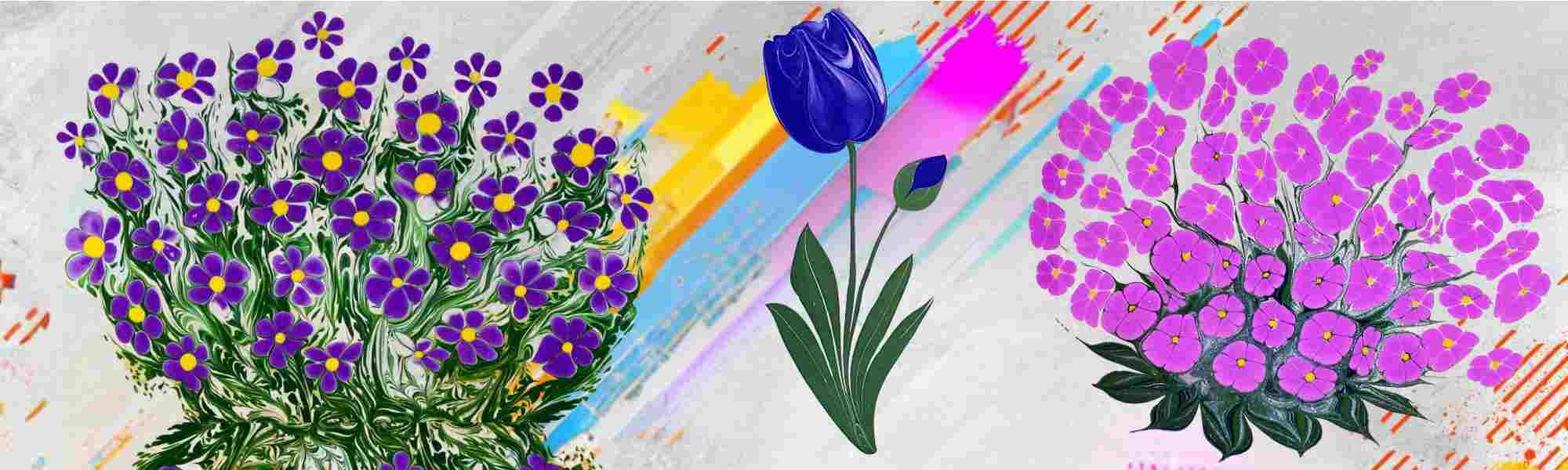 Ebru Set – Komplettset entdecken