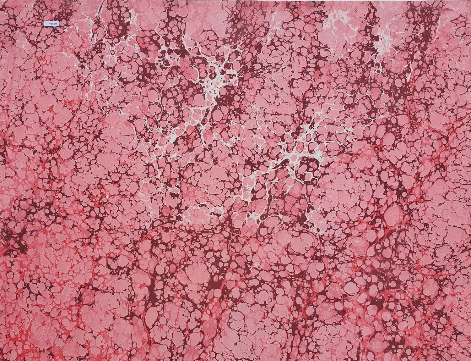 R023 – El Yapımı Ebru Kâğıdı 50×70 cm – Tek ve Benzersiz