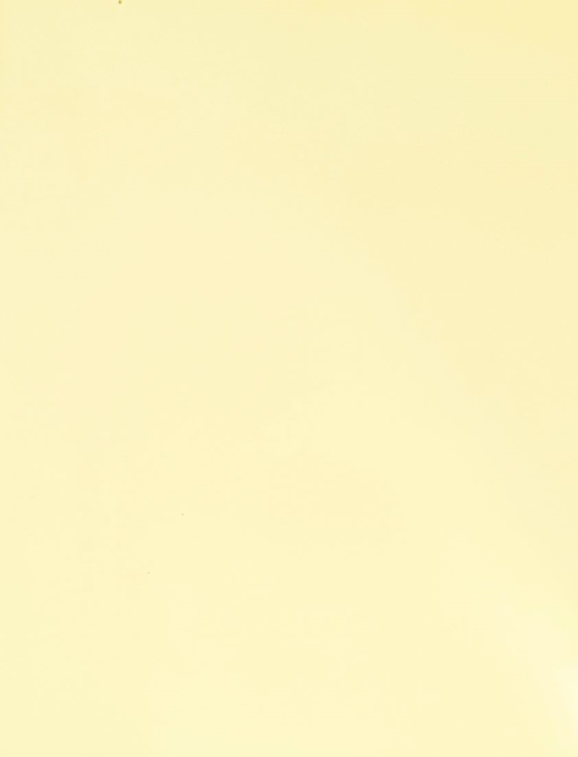 Hochsaugfähiges Ebru Papier für traditionelle Marmoriertechnik, ideal für fließende Wasserfarbenmuster