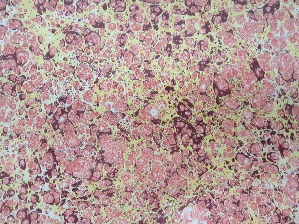 Praktisches Trockengestell für Ebru Papier – ideal zum sicheren und platzsparenden Trocknen von Marmorierkunst